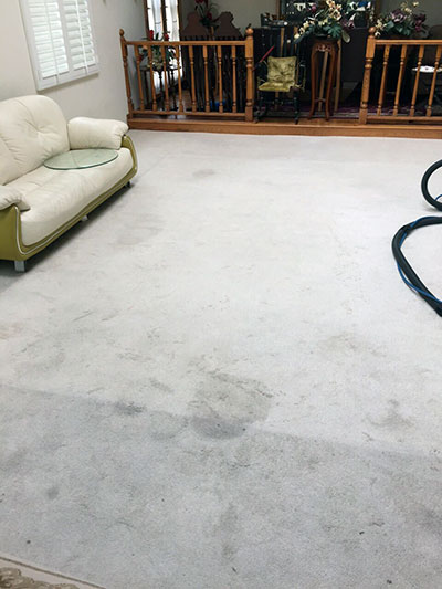 Some Technical Pointers for Cleaning your Carpets