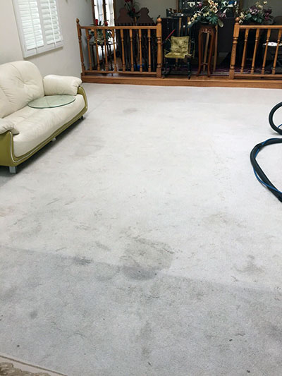 Some Technical Pointers for Cleaning your Carpets