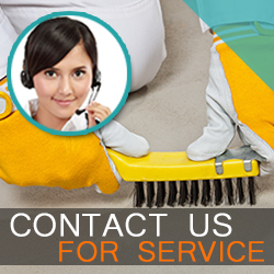 Contact Carpet Cleaning Services